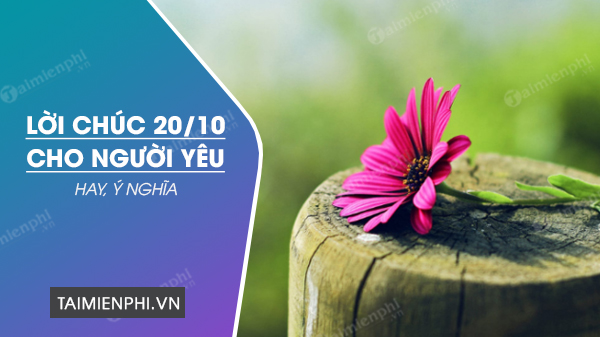 loi chuc 20/10 cho nguoi yeu