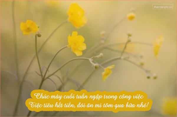 cau chuc ngay chu nhat