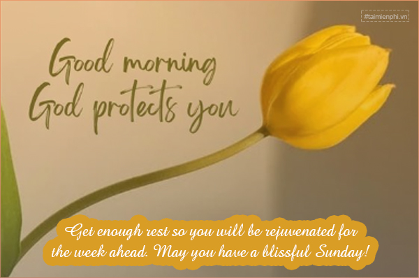 loi chuc ngay chu nhat hai huoc