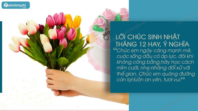 Chuc mung sinh nhat co gai thang 12