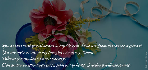 loi chuc valentine bang tieng anh y nghia