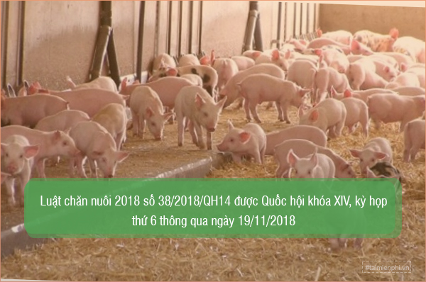luat chan nuoi 2018 moi nhat co noi dung gi 2