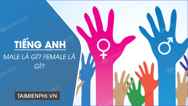 male female la gi gioi tinh nam nu trong tieng anh sex