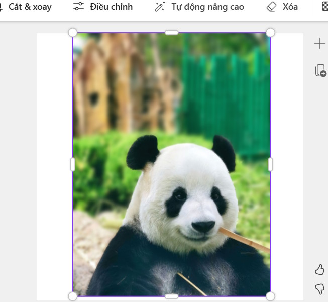 Làm mờ ảnh bằng AI trên Microsoft Designer