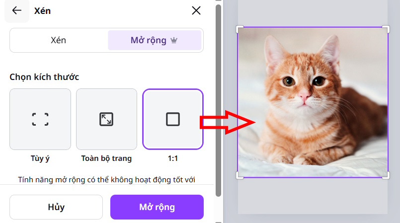 Mở rộng 1:1 trên Canva 