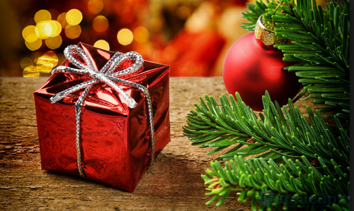 loi cam on giang sinh 2