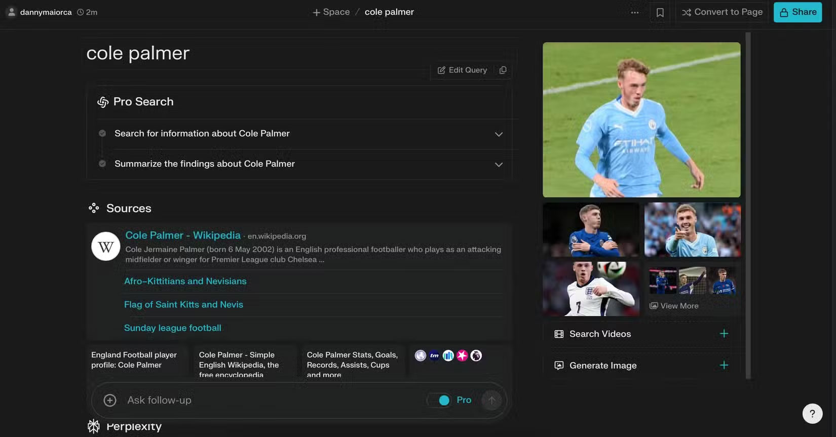 Kết quả tìm kiếm cho một vận động viên chuyên nghiệp trong Perplexity