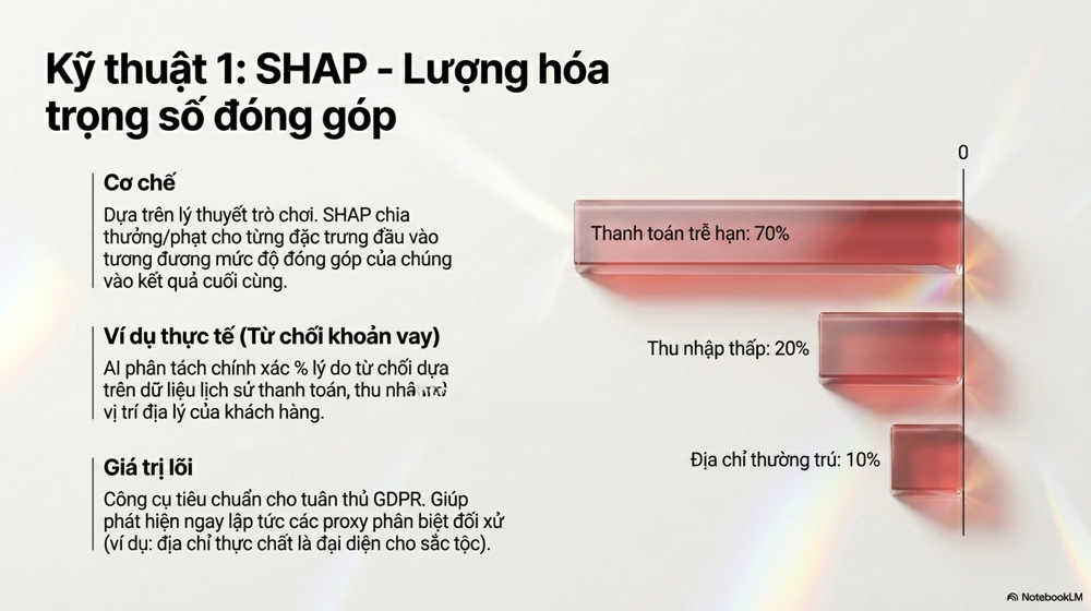 xai và pháp luật