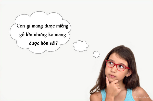 cau do vui tieng viet