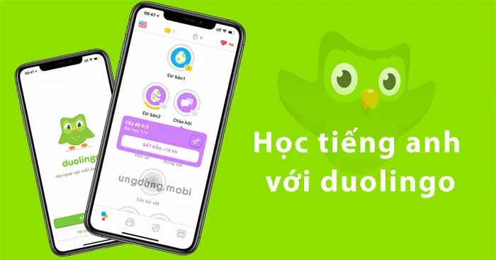  TOP app học tiếng Anh tốt nhất 2026 