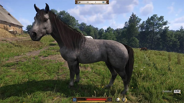 TOP con ngựa tốt nhất Kingdom Come: Deliverance 2 và cách lấy 