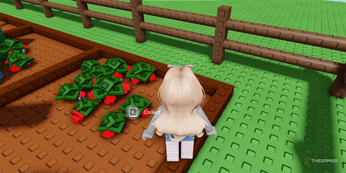  TOP loại cây nên ưu tiên trồng trong Grow A Garden 