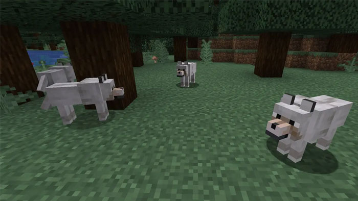 Vị trí & độ hiếm của tất cả biến thể sói trong Minecraft