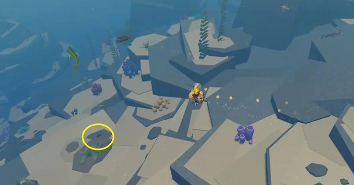 Vị trí tất cả rương kho báu trong Roblox Abyss