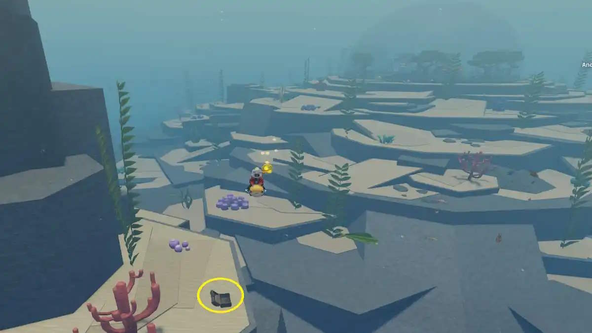 Vị trí rương kho báu 9