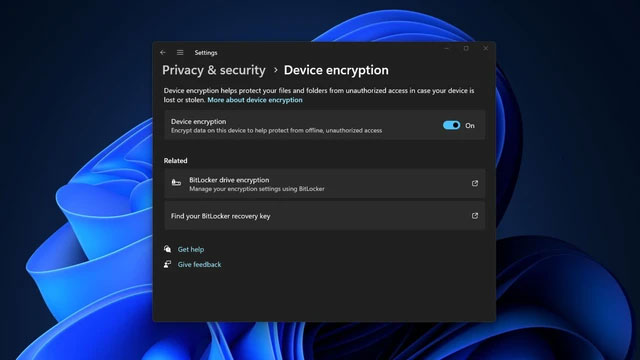Tính năng BitLocker trên Windows 11. Ảnh: WindowsLatest