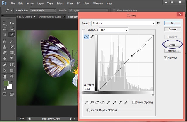 Khả năng tự động điều chỉnh của Photoshop CS6