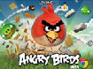  Angry Birds theme  icon