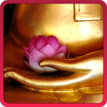  Chú Đại Bi  icon