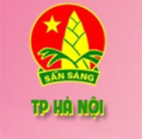  Cuộc thi tìm hiểu về lịch sử 80 năm thành lập Đội TNTP Hồ Chí Minh  icon