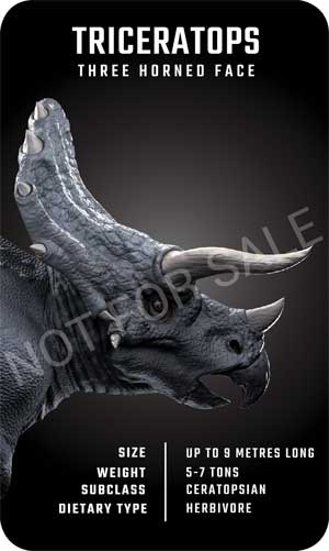 Khủng long Triceratops
