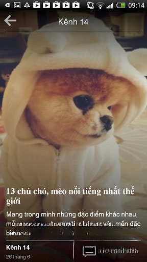 Đọc tin Pega for Android