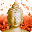  Đức Phật hình nền động  icon