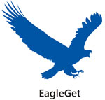  EagleGet  icon