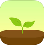  Forest: Stay focused  icon