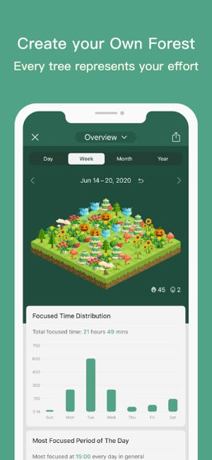 Tạo nên 1 khu rừng của riêng bạn