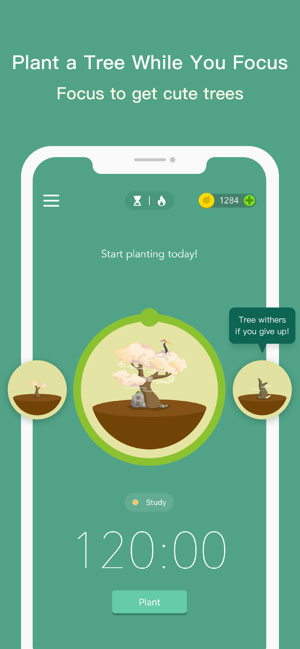 Forest - Stay Focused giúp bạn rèn luyện sự tập trung