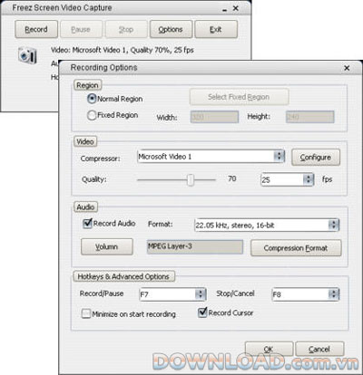 Freez Screen Video Capture