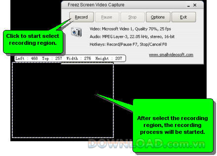 Freez Screen Video Capture