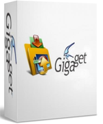  Gigaget  icon