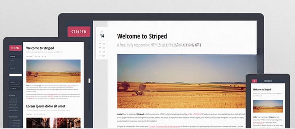 Giao diện của Striped HTML5 UP