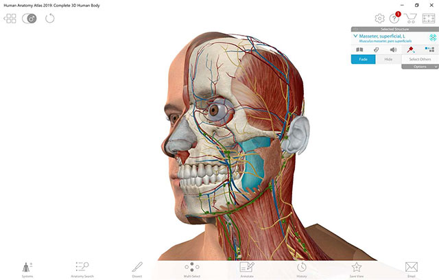 Atlas giải phẫu cơ thể người Human Anatomy Atlas 2019