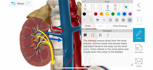Cung cấp các định nghĩa cụ thể cho từng khái niệm