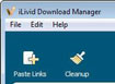  iLivid Download Manager  icon