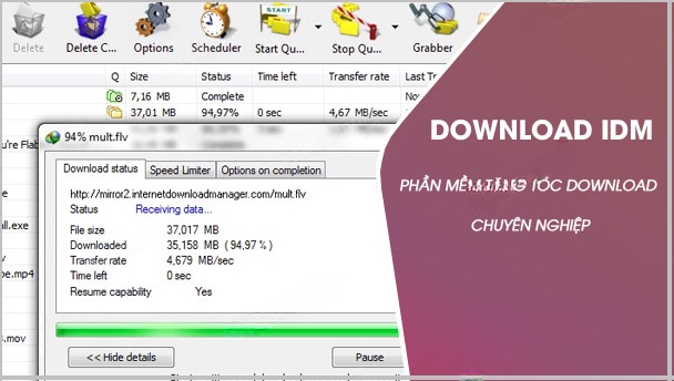 tai internet download manager idm