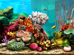  Living Marine Aquarium  icon