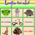  Luyện trí nhớ (Memory)  icon