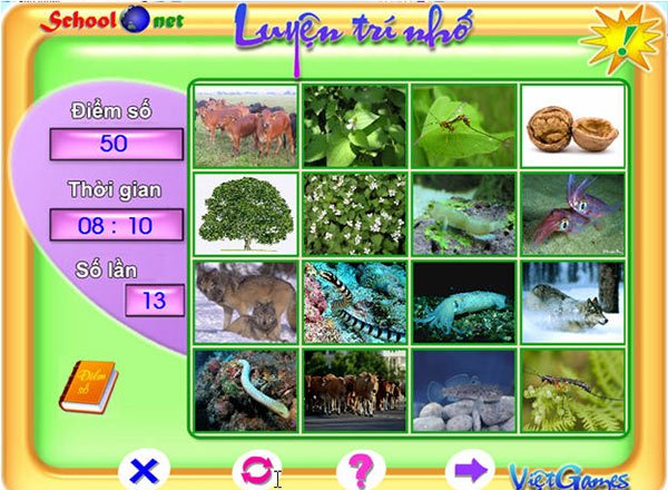 Luyện trí nhớ 7 (Memory 7)