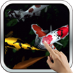  Magic Touch: Koi Fish  icon