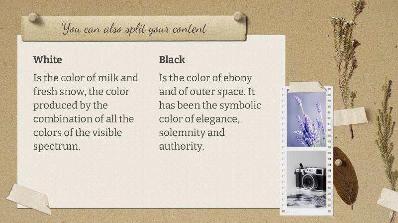 Vintage Moodboard Slides slide8*345730