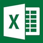  Microsoft Excel  icon