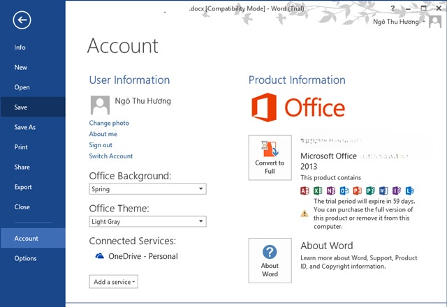 Microsoft Office Professional Plus 2013