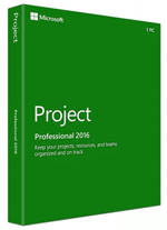  Microsoft Project Professional  icon