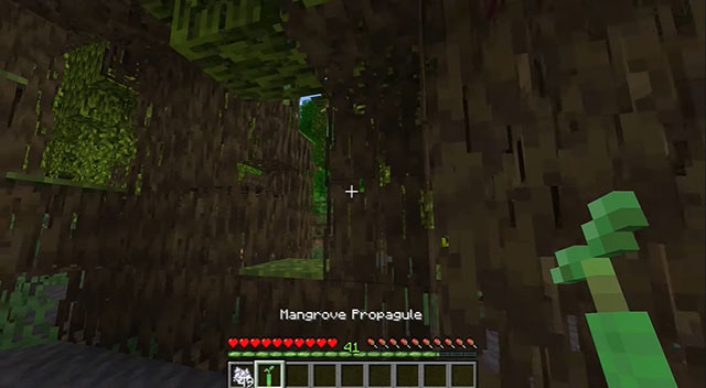 minecraft 1.19