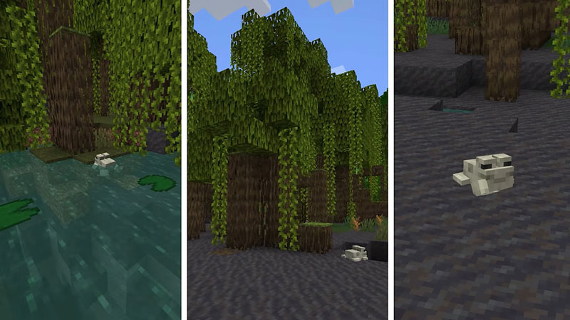 ếch minecraft