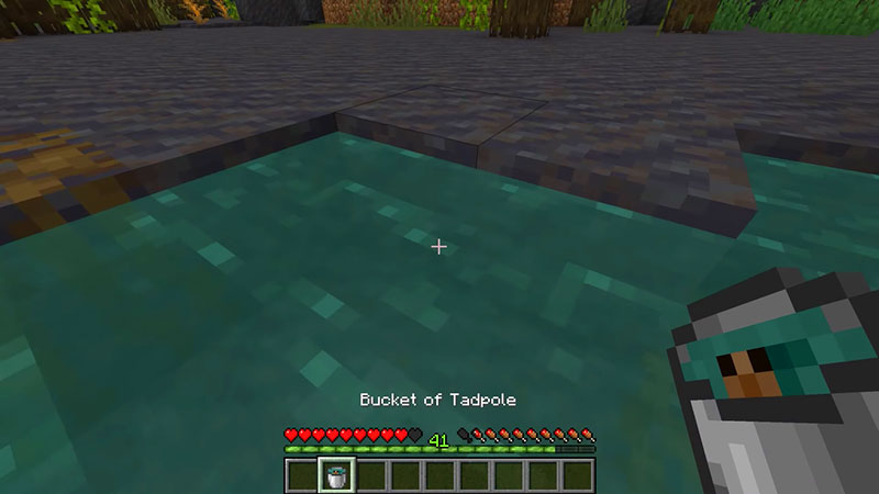 minecraft 1.19